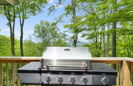 Deck w/ Forest Views, Ping Pong Blue Ridge Mtn Escape Ash Vale by Avantstay - Foto 62