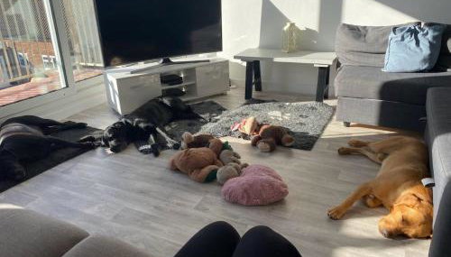 Hunny Hideaway, Hunstanton - dog friendly haven by the sea - Foto 3