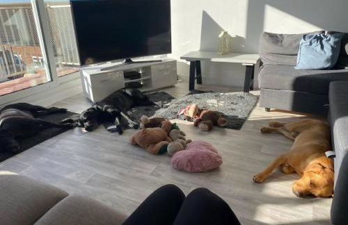 Hunny Hideaway, Hunstanton - dog friendly haven by the sea - Foto 3