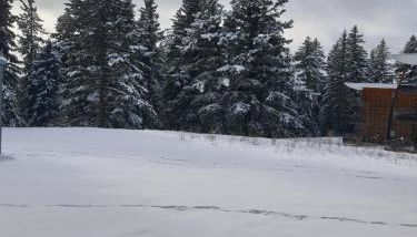 Chamrousse 1700 - Asters A03 - Rez de Jardin, Piscine, Sauna, Terrasse plein sud - Foto 5