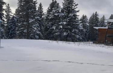 Chamrousse 1700 - Asters A03 - Rez de Jardin, Piscine, Sauna, Terrasse plein sud - Foto 5