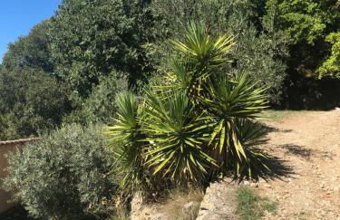 L'Olivier Fleurie Barjols - Foto 63