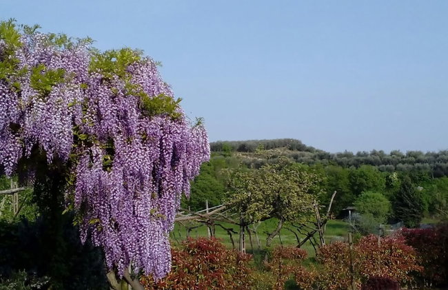 Scenic Holiday Home in Pastrengo near Lazise Lake & City Center - Foto 13
