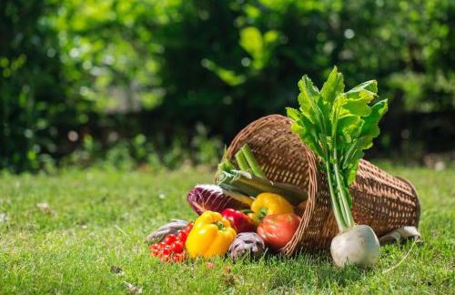 Agriturismo Molino Nuovo - Foto 37