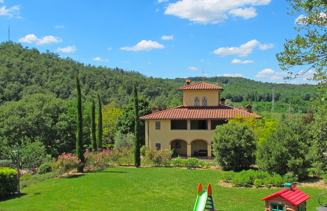 Corbezzolo - Foto 27