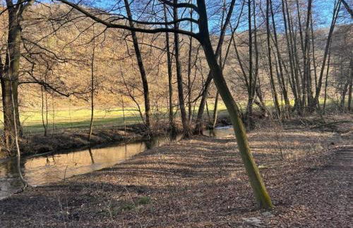 Nature Escape in Meisdorf - Foto 23