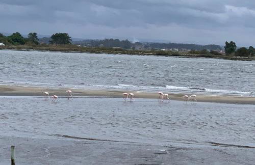 Torreira Vacation Homes - Sea House - Foto 32