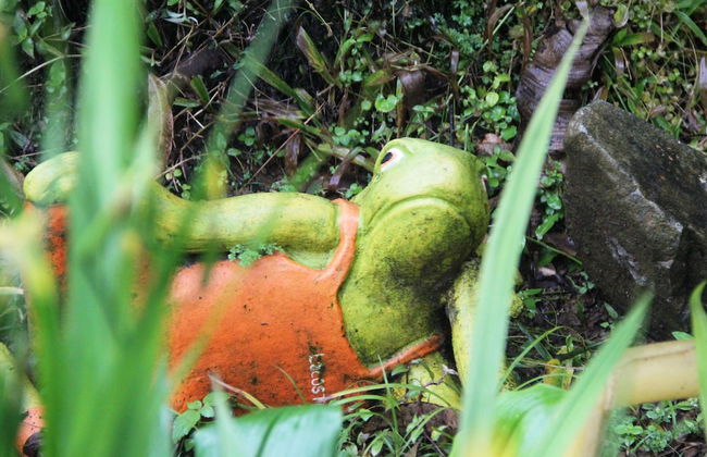 El Nido Cerro Azul - Foto 53