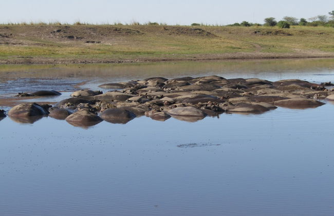 Destiny Blo Inn - Photo 9