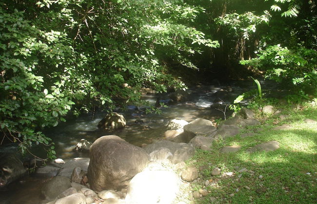 Kootney Resorts - Photo 67