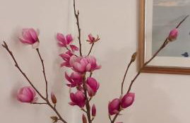 Apartman Ana Lotre - Photo 4