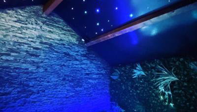 Spa&House91 - Foto 1