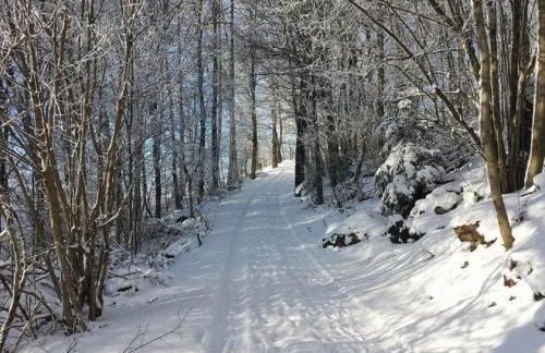 Monis Ferienwohnung - Foto 21