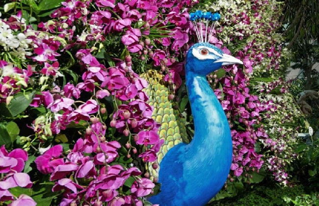 Entrada al Canopy Park del aeropuerto de Singapur - Foto 6