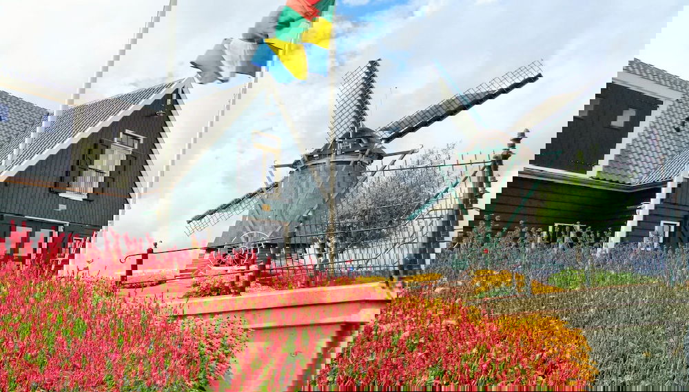 Spacious Holiday Home in the Beemster Near a Windmill - Foto 1