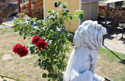 Gehobene Studentenwohnung - Foto 31