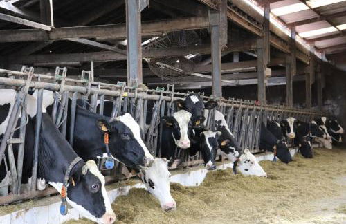 ICH Inveja Country House - Foto 63