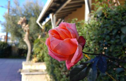 V-Apartments - Foto 21