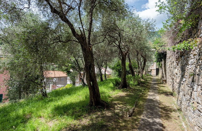 Basilico House In Mulinetti - Photo 19