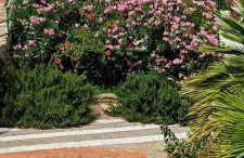 Passione Mare - Foto 31