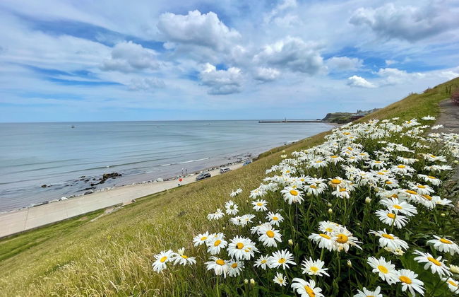 Fayvan Apartments - Foto 48