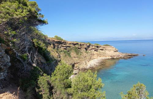 El nido de Betlem - Foto 29