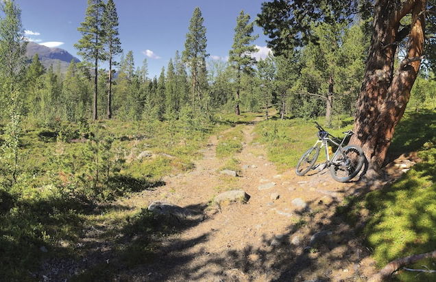 Randsverk Hytter i Lemonsjøen Fjellpark - Foto 15