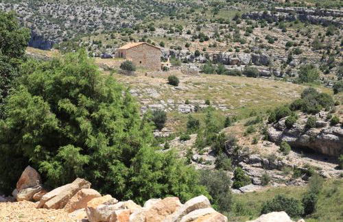 MOLINO DOLZ - Foto 74