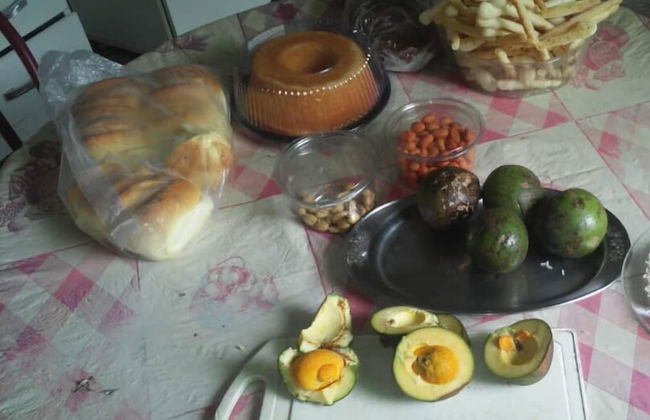 Aconchego dos schreiber - Foto 12