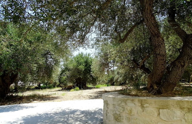 Lyrids Apartments - Photo 143