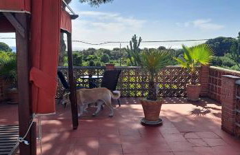 Garden Cottage at Casa Madden - Foto 20