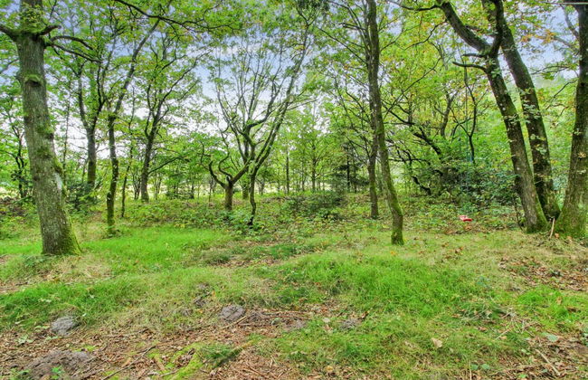 "Ellica" - 50km from the sea - Foto 3