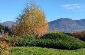 Dom lub apartamenty z widokiem na góry Wichrowe Wzgórza z basenem Brenna - Foto 40