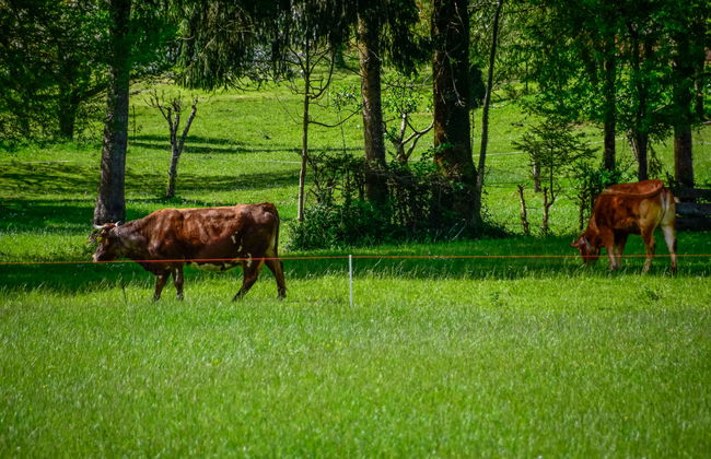 Relax & Play - Foto 63