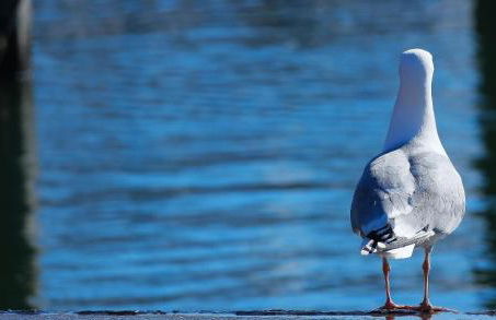 Apartment 23 - Photo 17