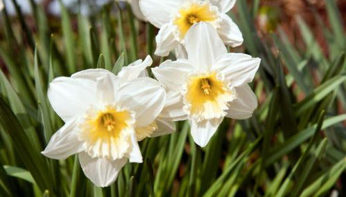 Tros Yr Afon Holiday Cottages and Manor House - Foto 3