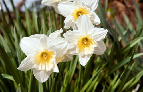 Tros Yr Afon Holiday Cottages and Manor House - Photo 3