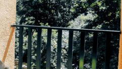 Carlina Canfranc - Foto 2