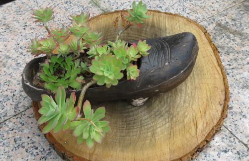 Agroturismo La Casona de Belmonte - Foto 92