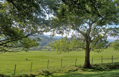 The Barn - 27977 - Foto 10