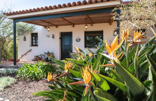 Live La Laguna Casita Vieja - Foto 17