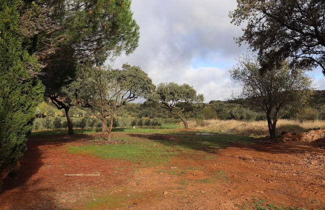 Agroturismo la finka - Foto 23