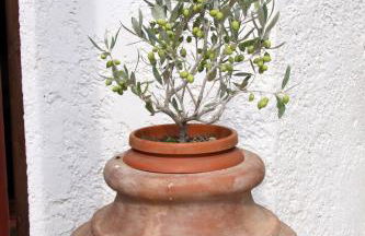 Hotel Mary - Foto 54