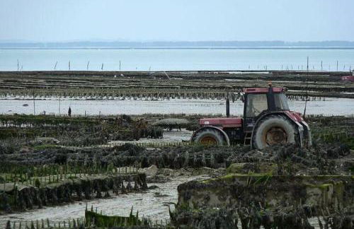 Maisonnette,100m mer, proche St Malo/Cancale, WIFI - Foto 11