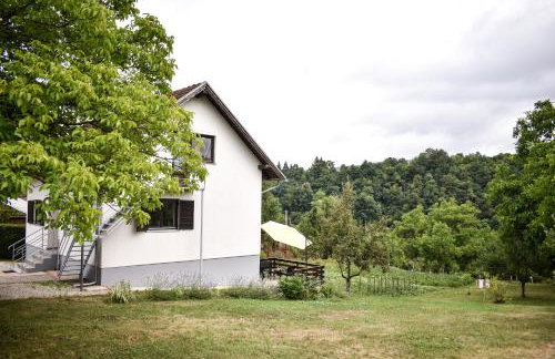 House Narta - Rastoke - Foto 26