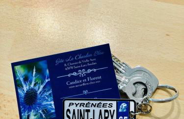 Gîte 3*** Le Chardon Bleu - Foto 30