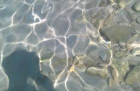 Bijela kuča - Foto 76