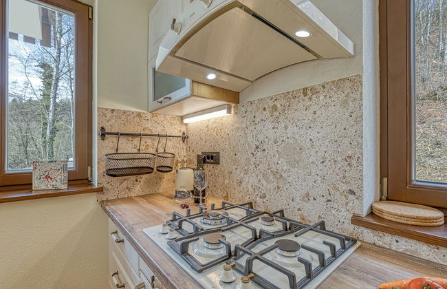 Riverside Resort Stari Malni Kolpa - Photo 8