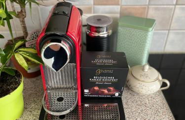 SunnyF2- EuroAiport-Basel-TrainStation-CityCenter - Photo 7