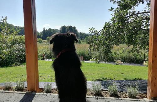 Domek pod borówką - Foto 11